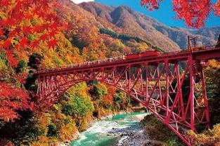 深黑峡谷,幽深秘境探秘之旅