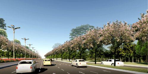 师大公园地下社会,揭开隐秘角落的尘封往事