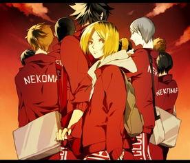 排球少年 第二季 ハイキュー!! セカンドシーズン,激战再起，梦想之巅