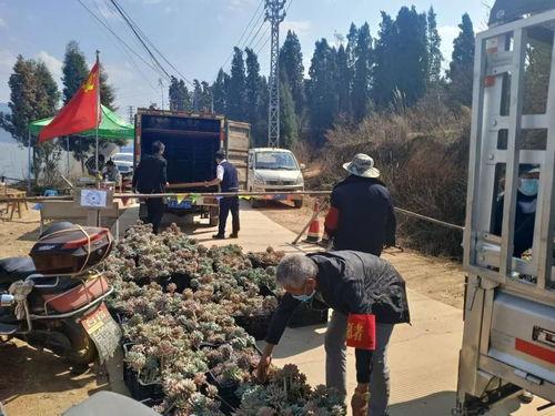 60灾荒,福宝有灵泉空间满仓肉,60灾荒下的生存传奇